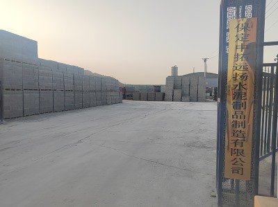 廠區(qū)門口 (2)